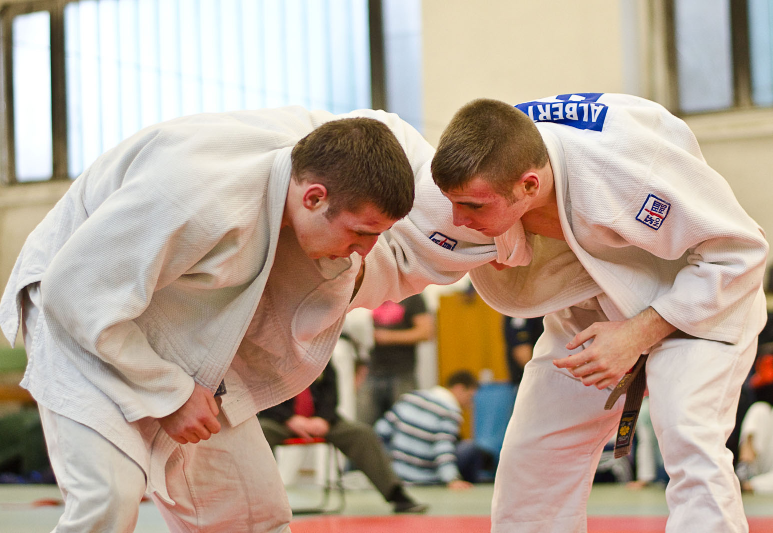 Judo OBII 20121124 149