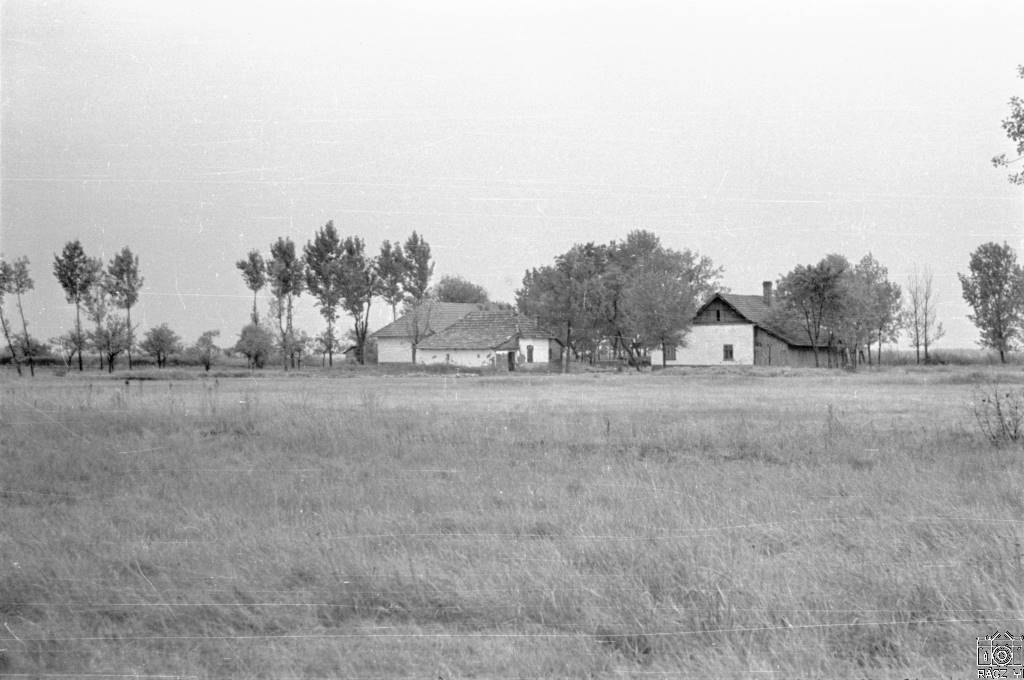 a Domján-tanya, 1968