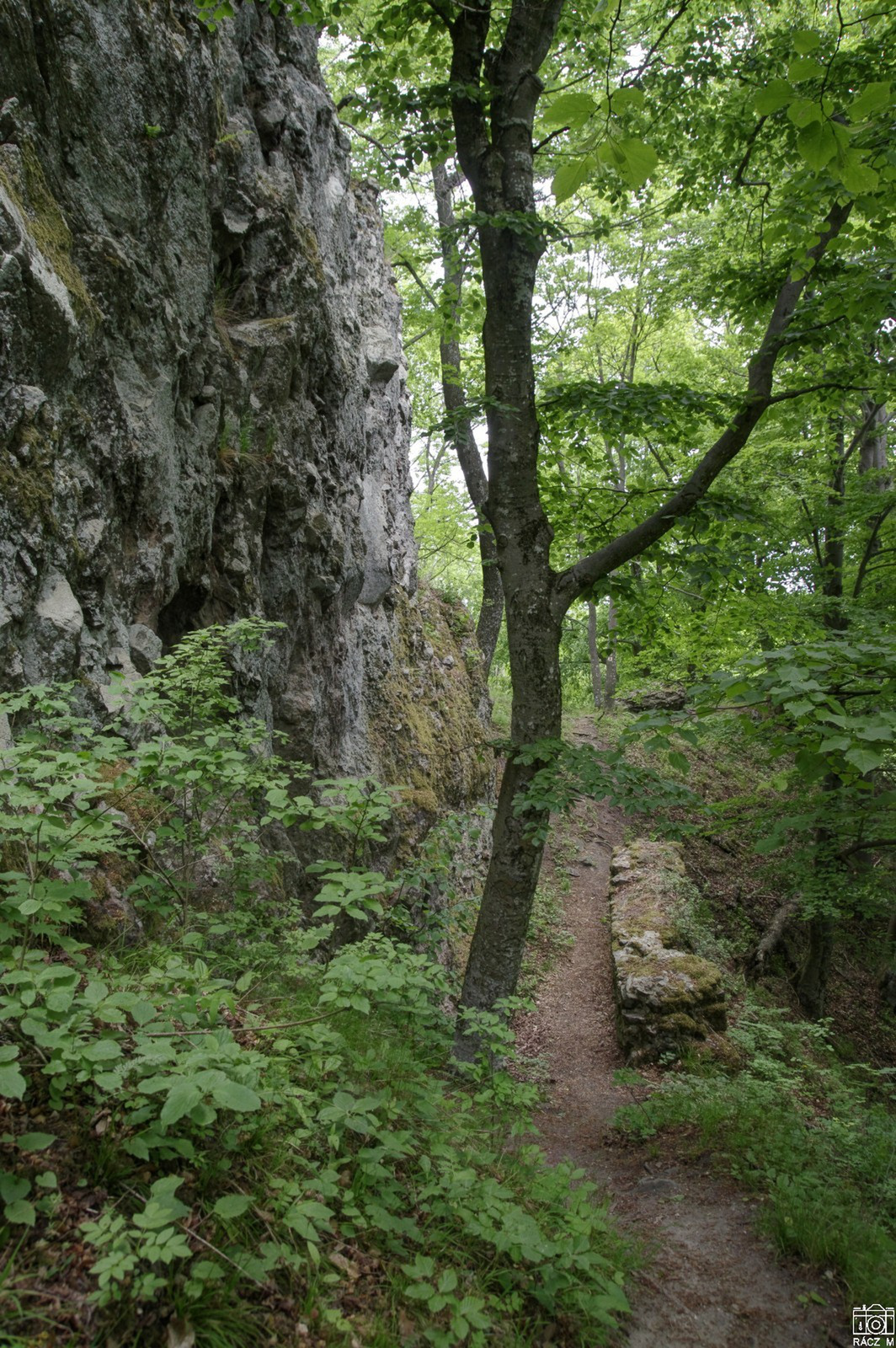 sziklaorom a Salgóvárban, falmaradvánnyal