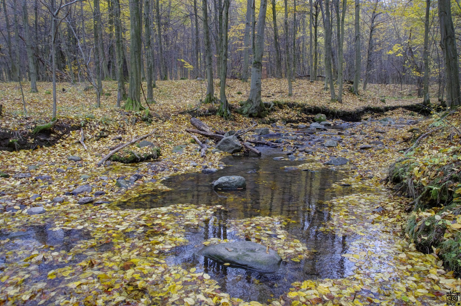 őszi patak