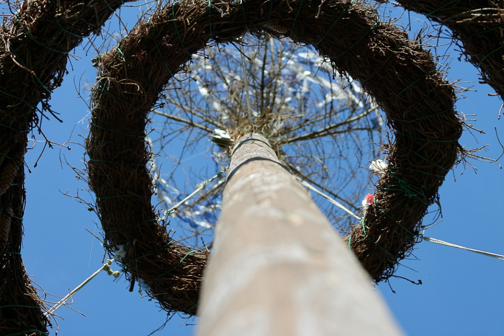 Maibaum