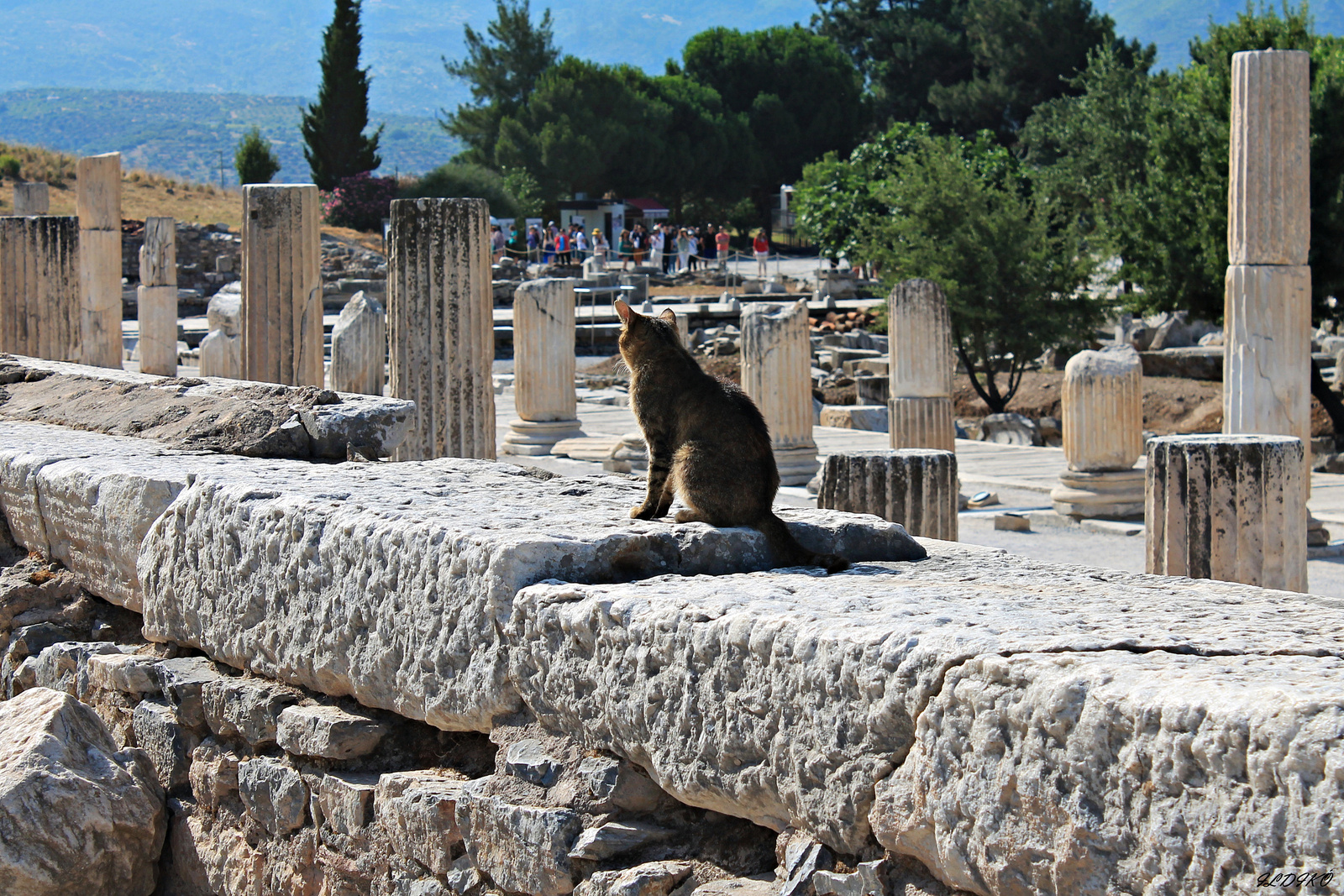 Efesus - Törökország 2015 234