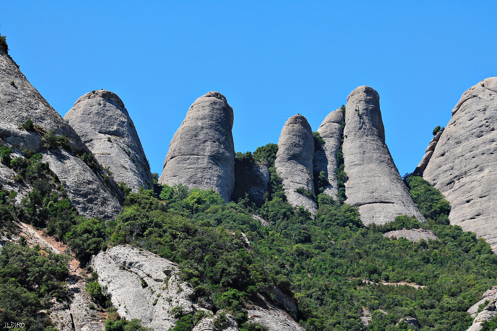 Montserrat 0041