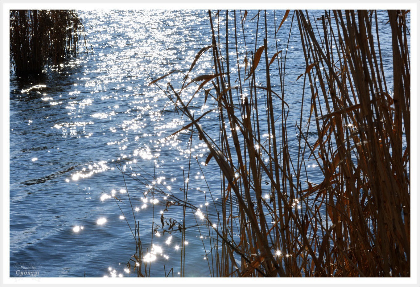 Napfényben csillogó tó