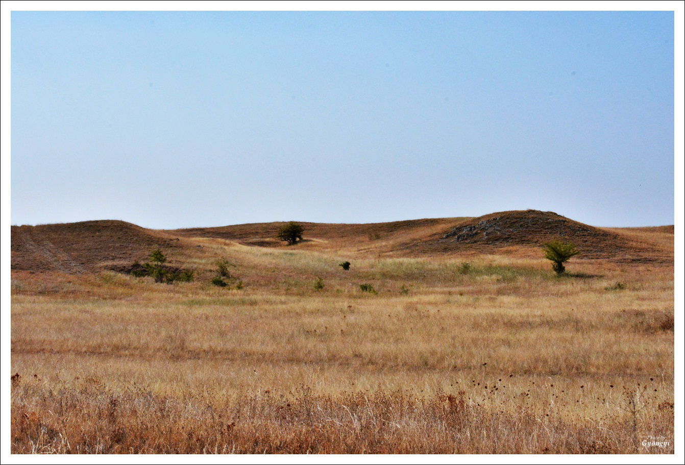 Szárazság 2013.