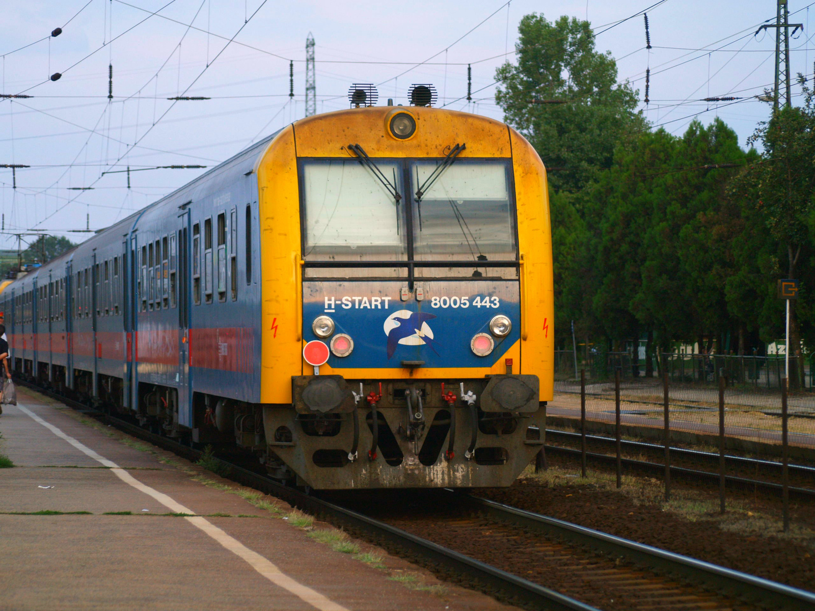 8005 443 Rákos