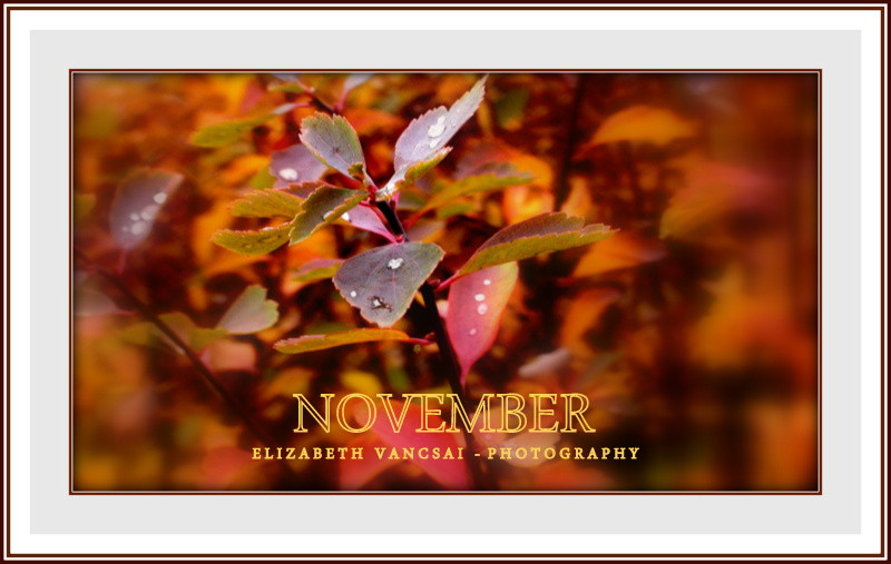 NOVEMBER