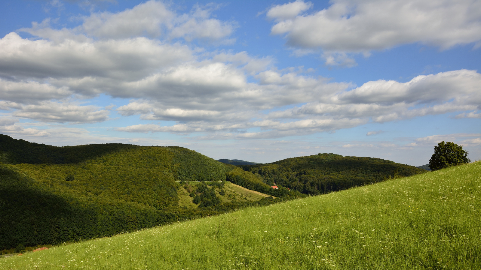 Bükki tájakon