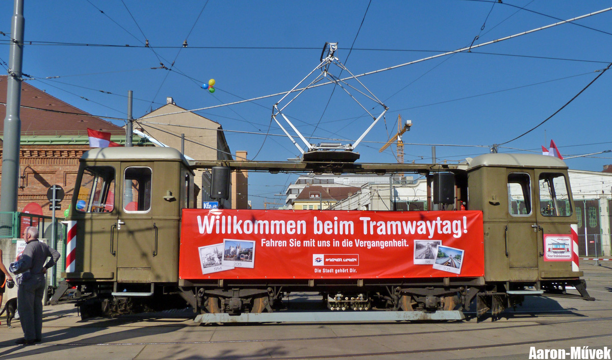 Tramwaytag 2013 (0)