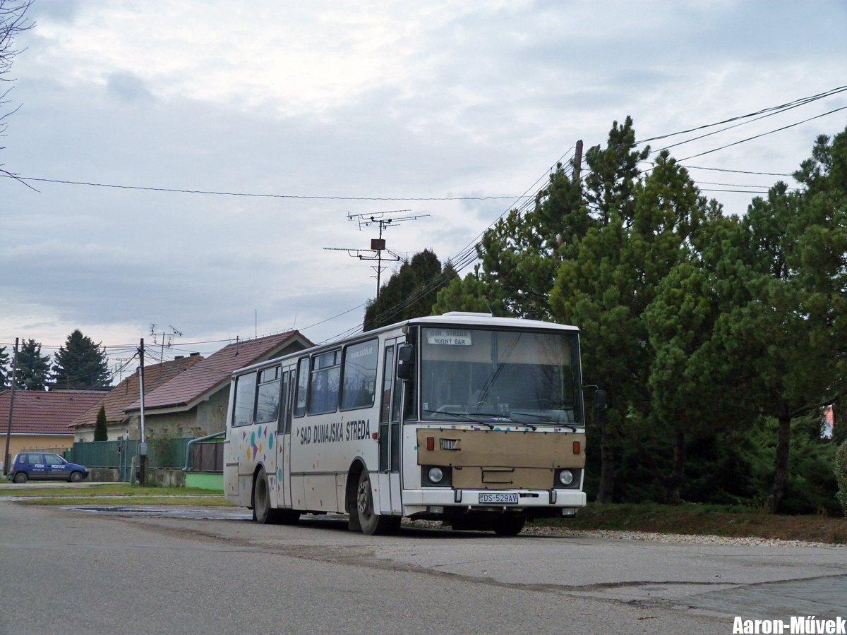 Csallóközi évkezdés (27)