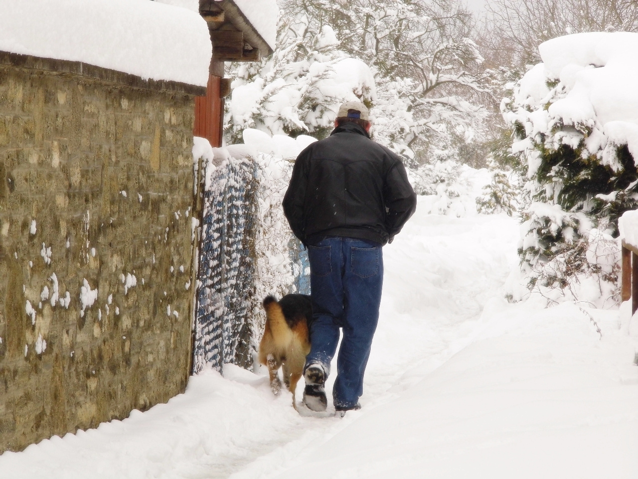 walking with the best friend