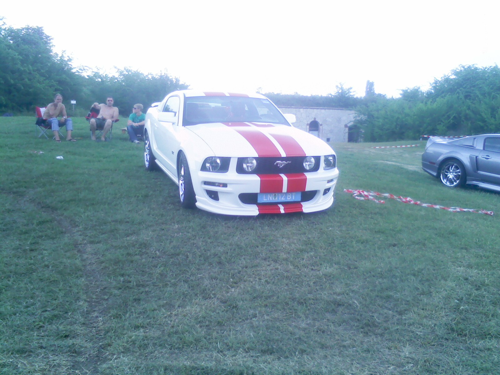 Mustang 1