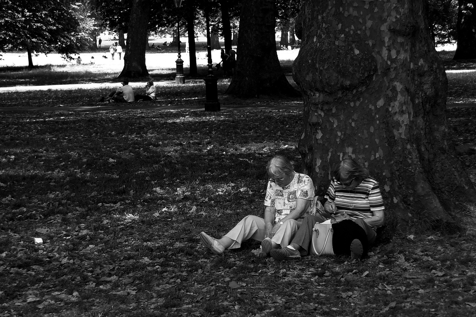 St. James's Park