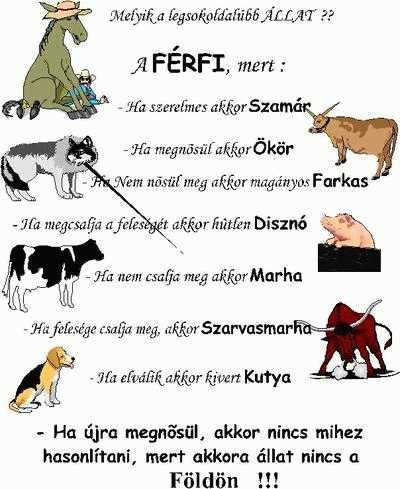 FÉRFI