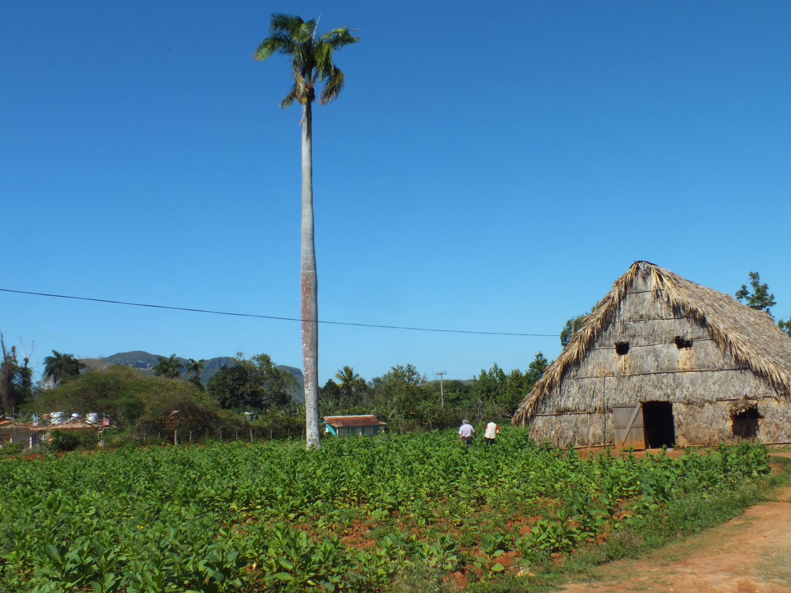 CUBA 2013 952