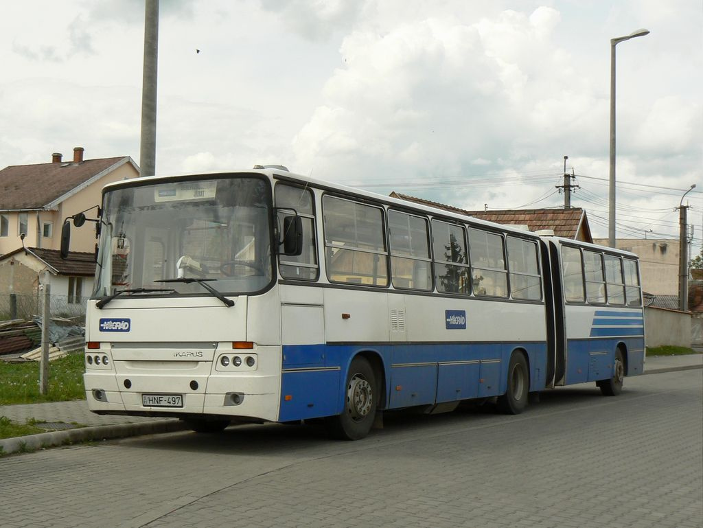 ikarus clasicc csuklós