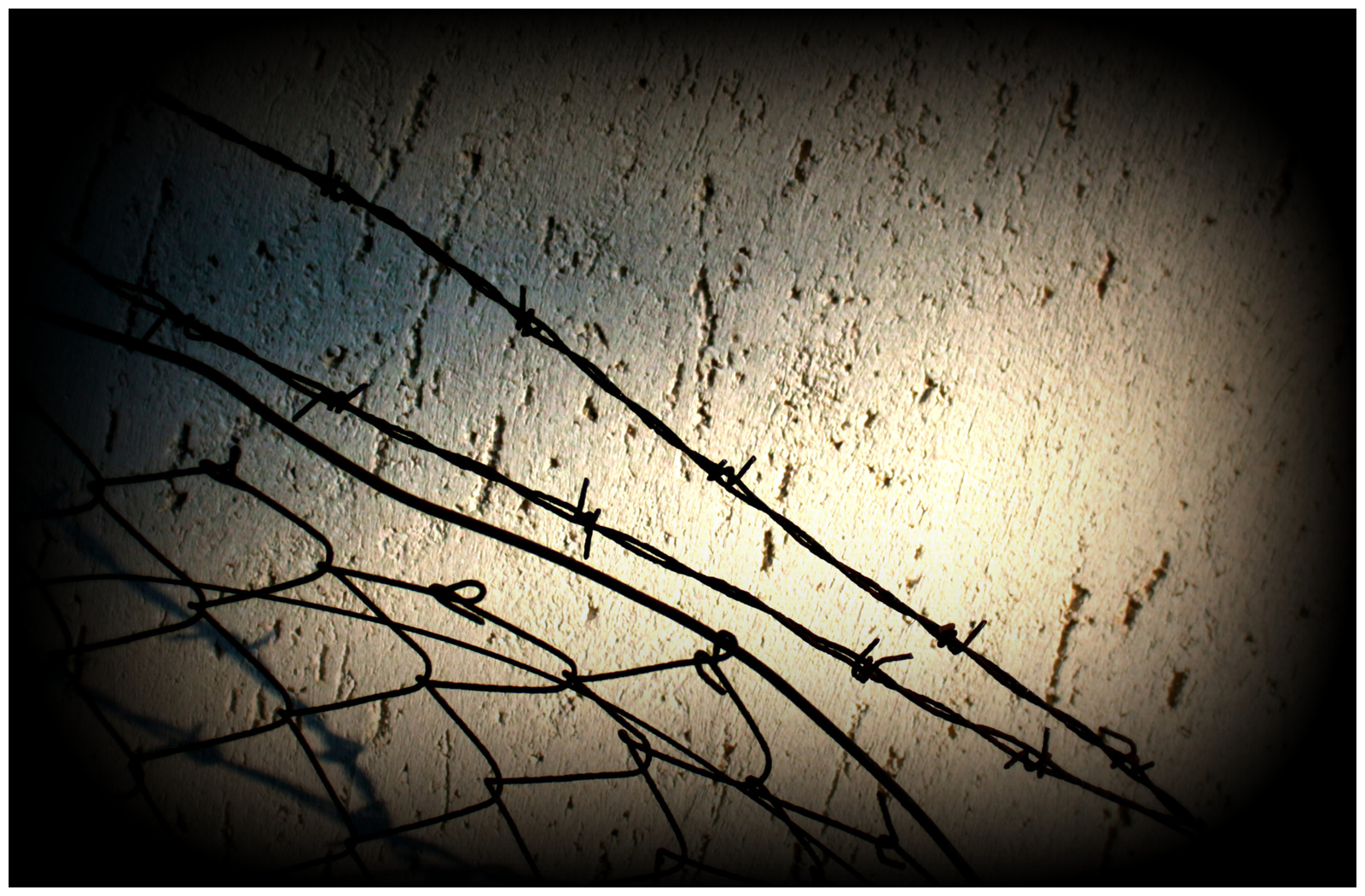 barbed wire