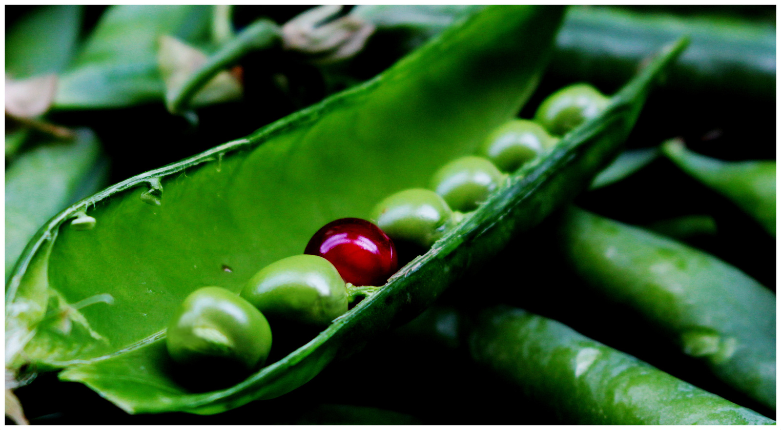 peas 3 framed