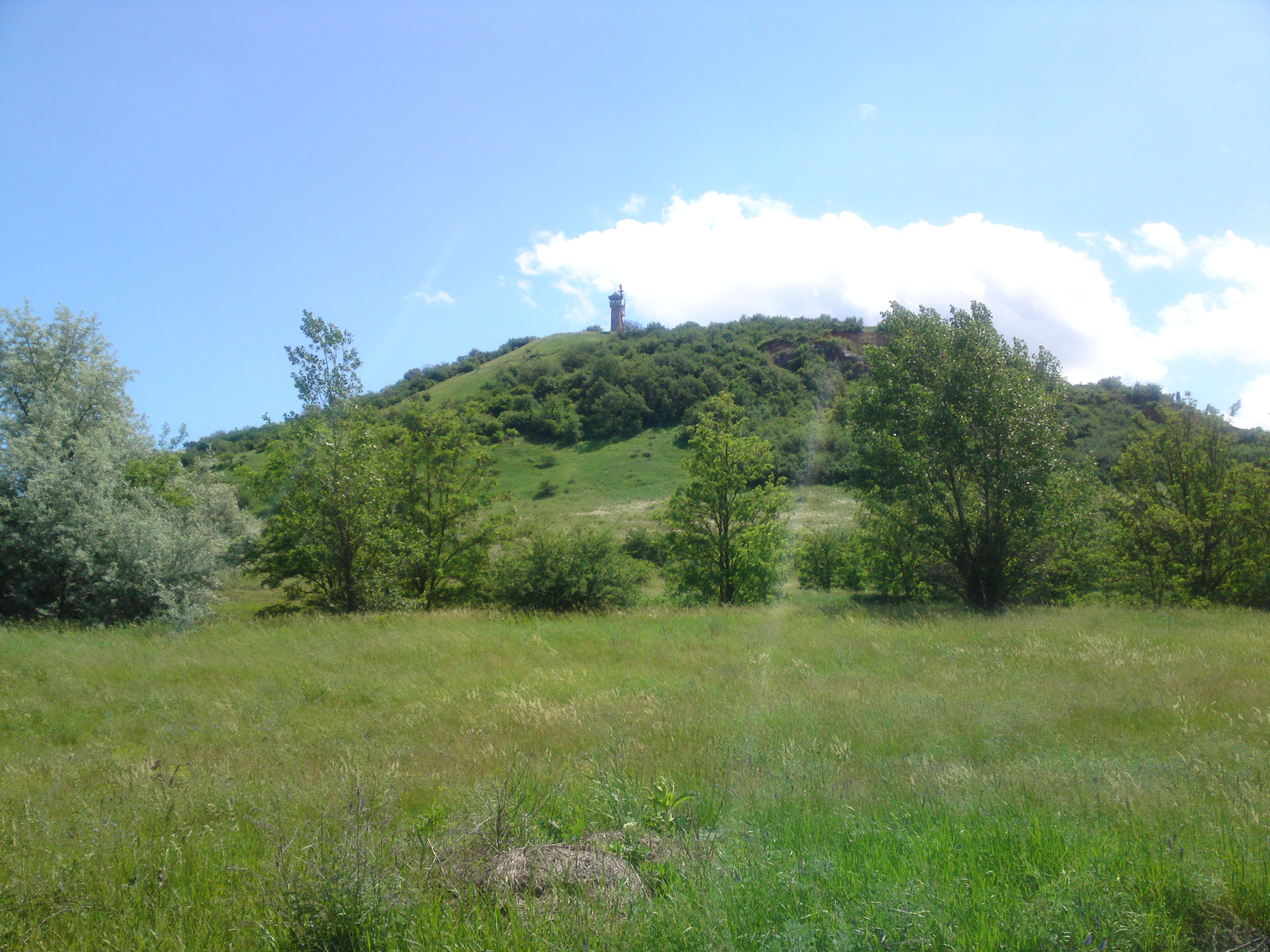 Hock Anikó. Esztergom természet , 2013 Május 20.