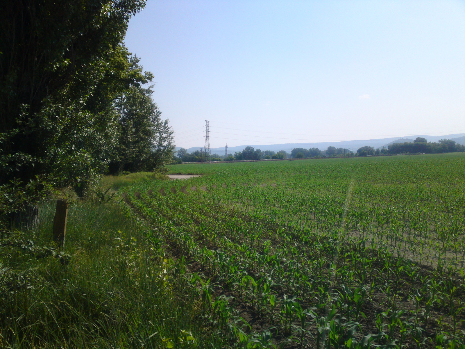 2013 Június 09 Esztergom.