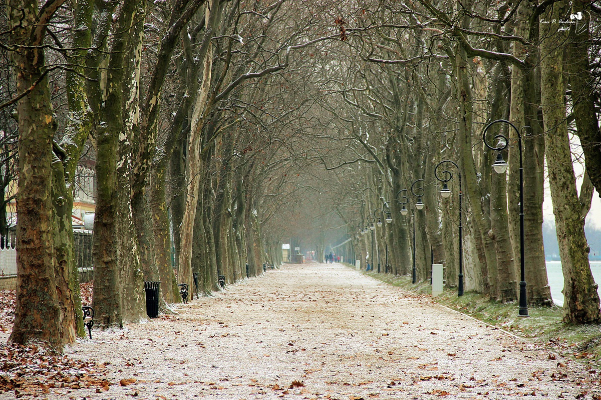 Balatonföldvár, Kvassay sétány télen.