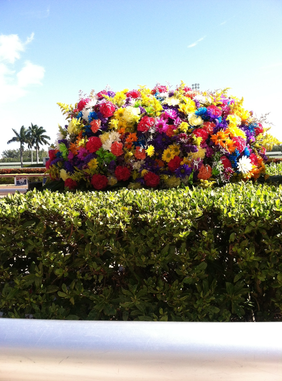 GulfStreamPark ünneplőben