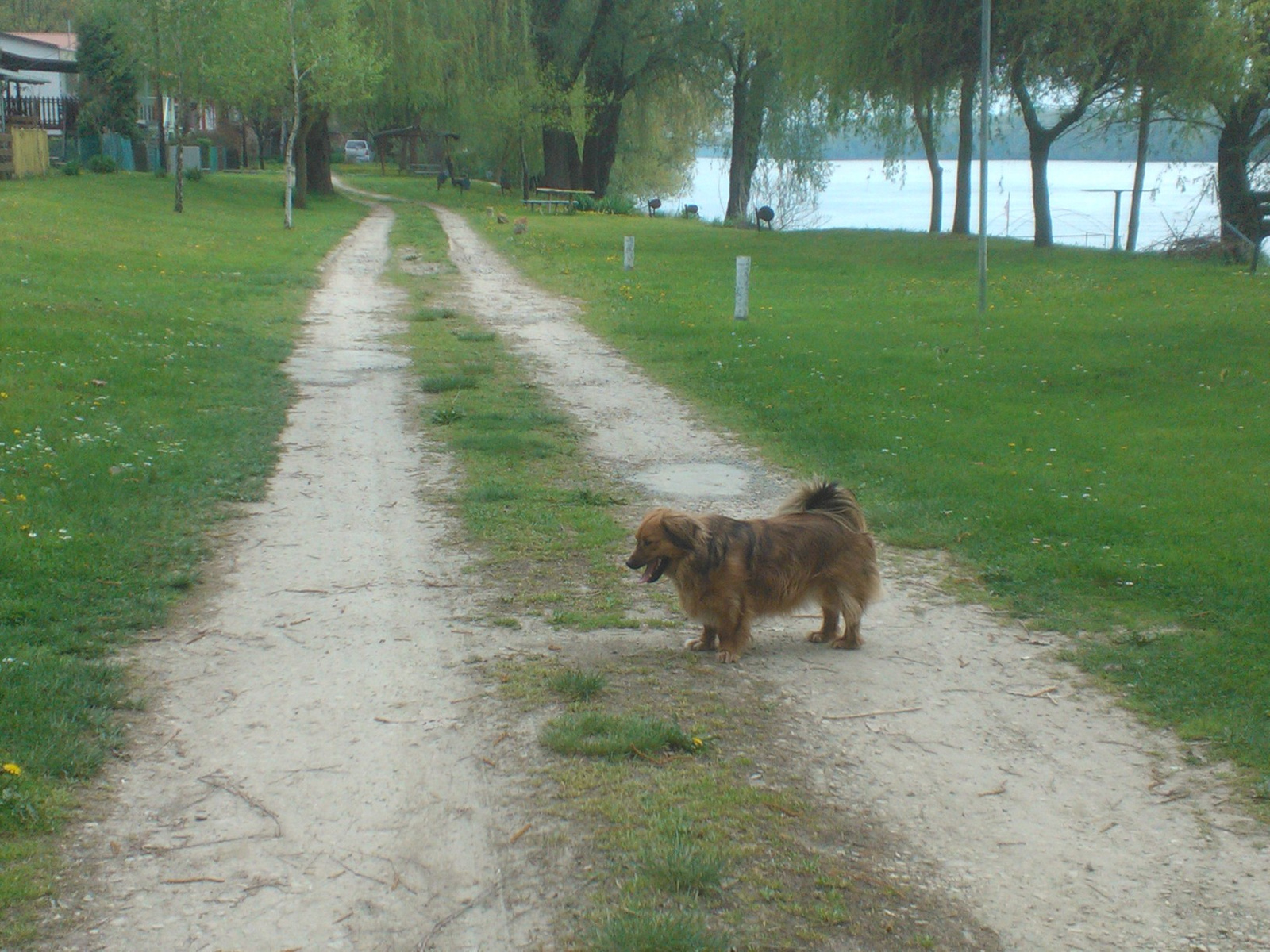 Szigetben a kesoi tavasz