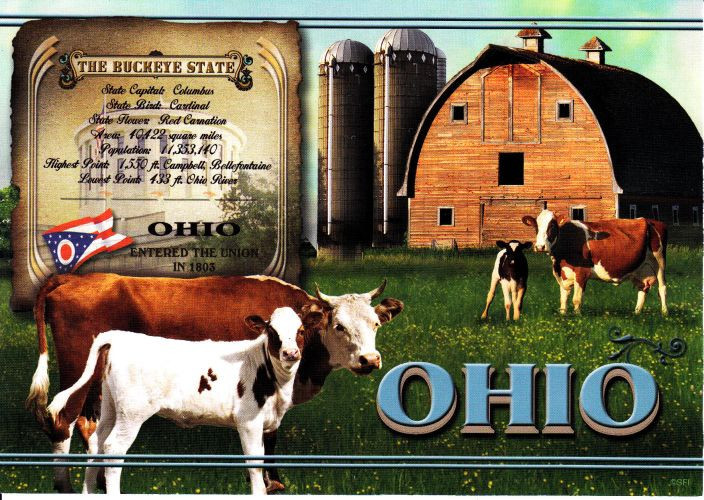 b004036-tehén Ohio