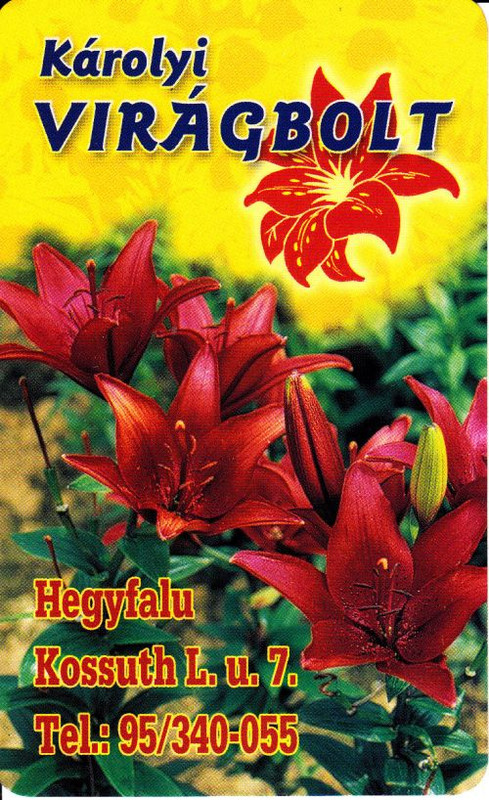 2002-Hegyfalu