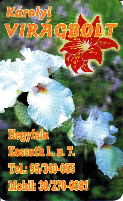 2003-Hegyfalu