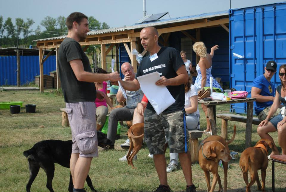 vizsla piknik (124)