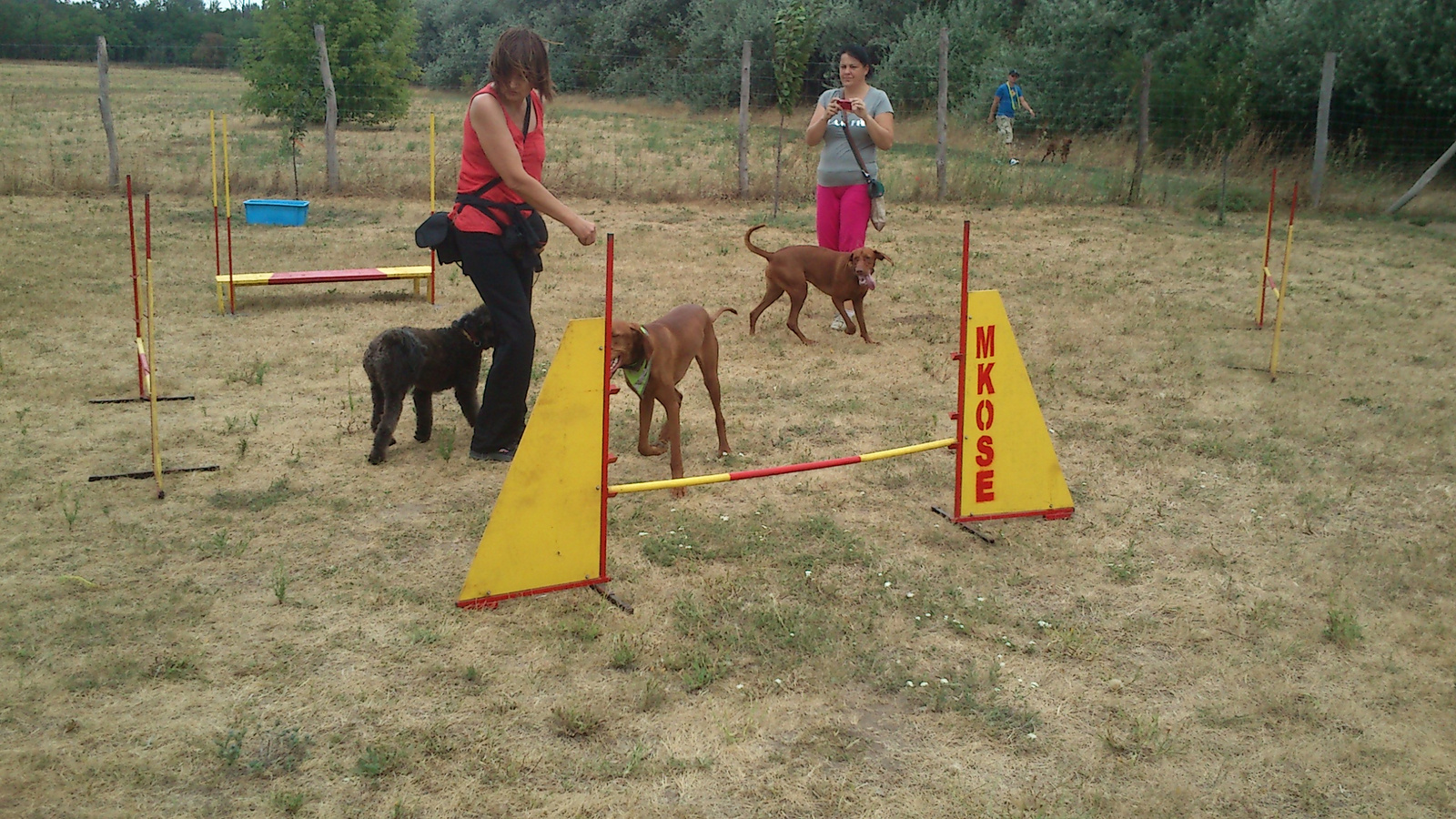 vizsla piknik 2013 (2)