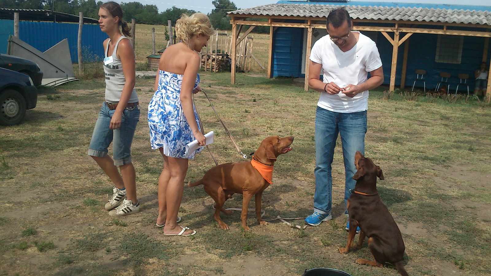 vizsla piknik 2013 (35)