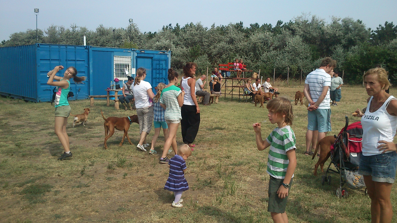 vizsla piknik 2013 (38)