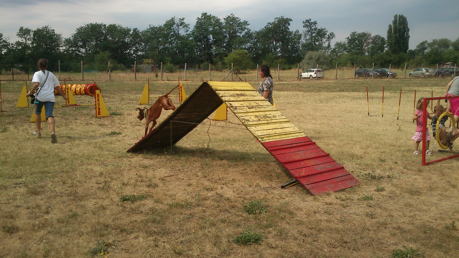 vizsla piknik 2013 (45)