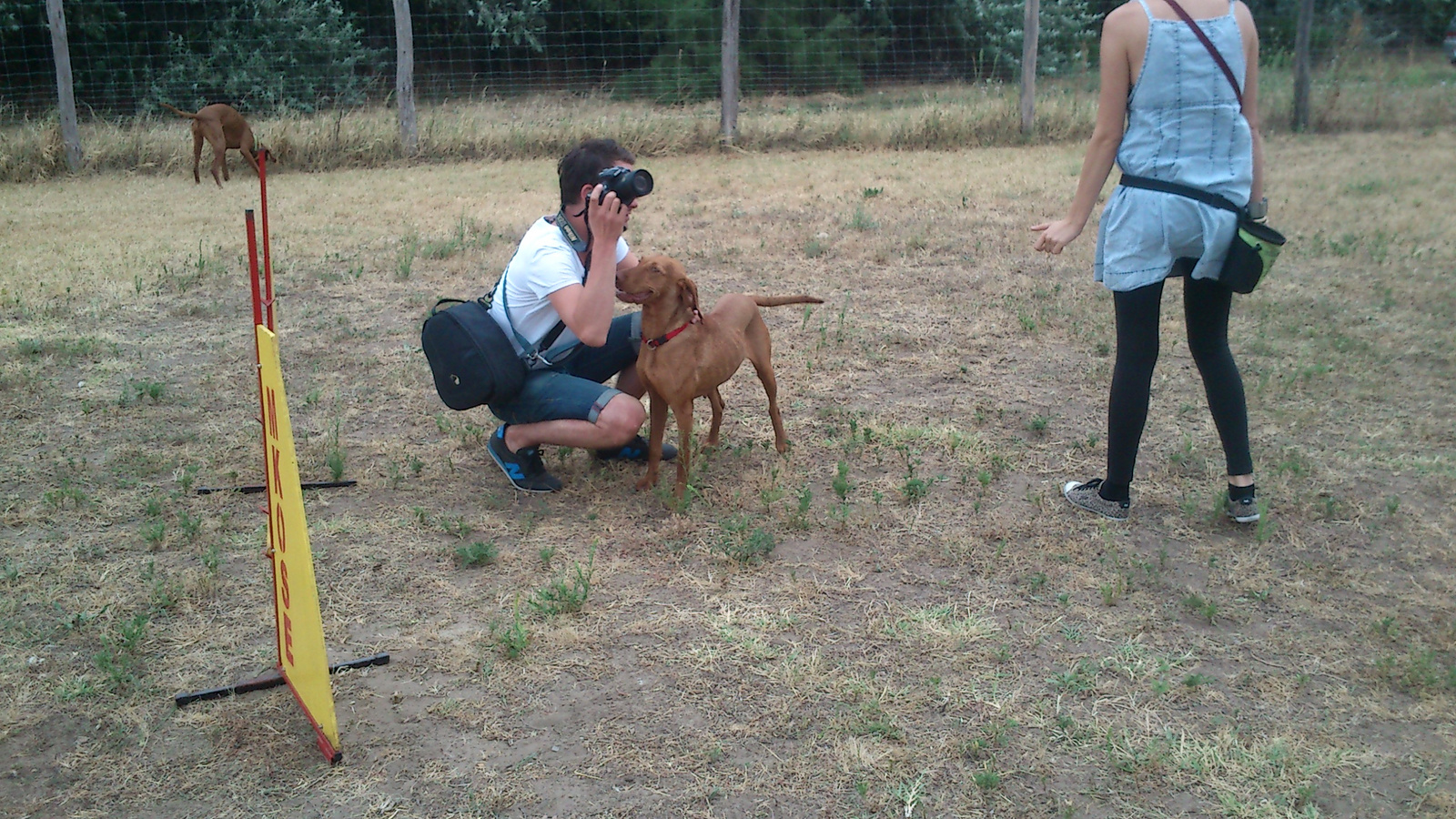 vizsla piknik 2013 (51)