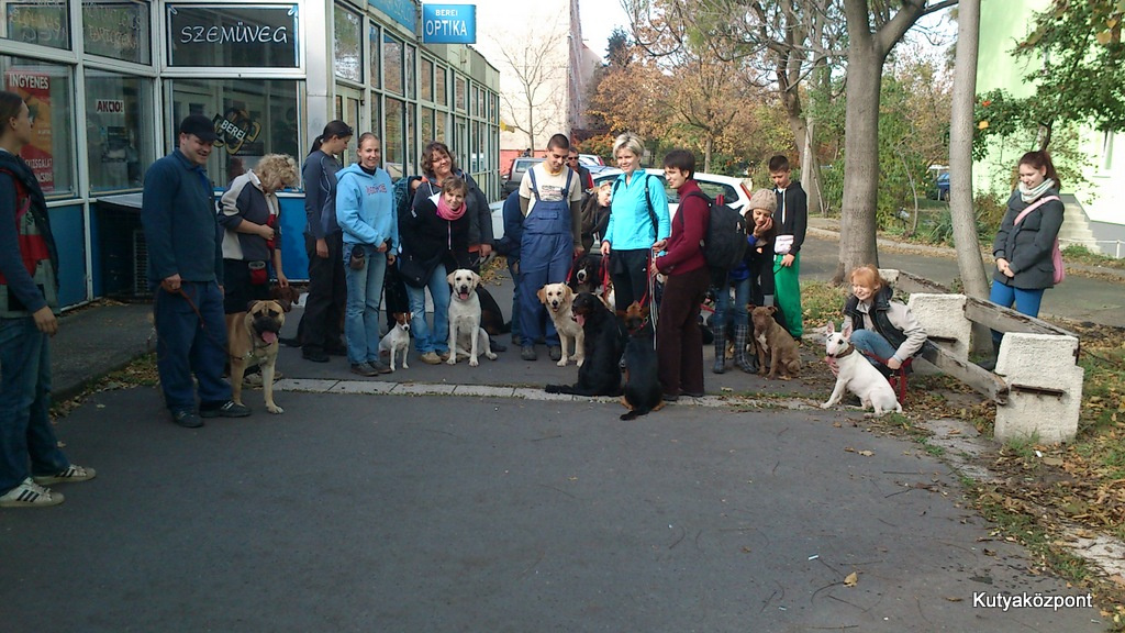 varosi kutyaiskola (10)