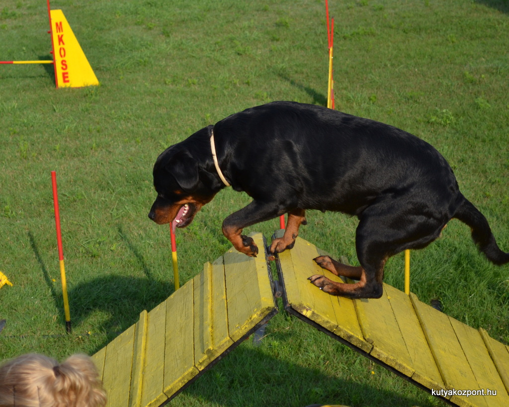 agility 17 kerulet (40)