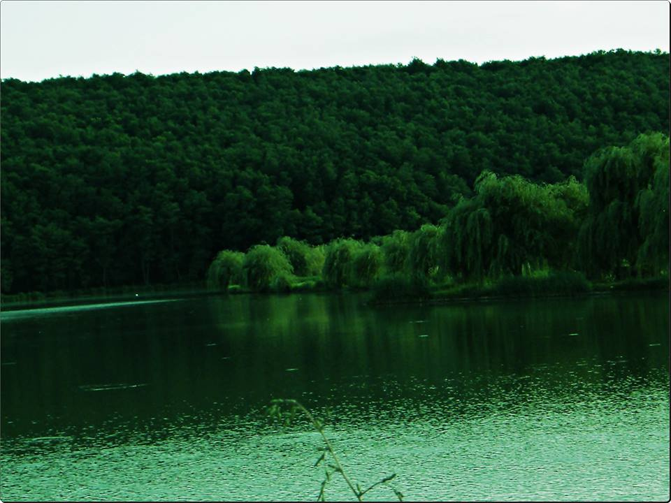 Boldogasszony-tó