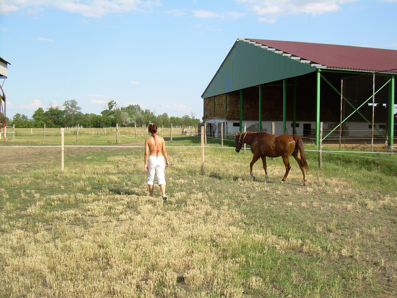 2007-06-17Durcás 019