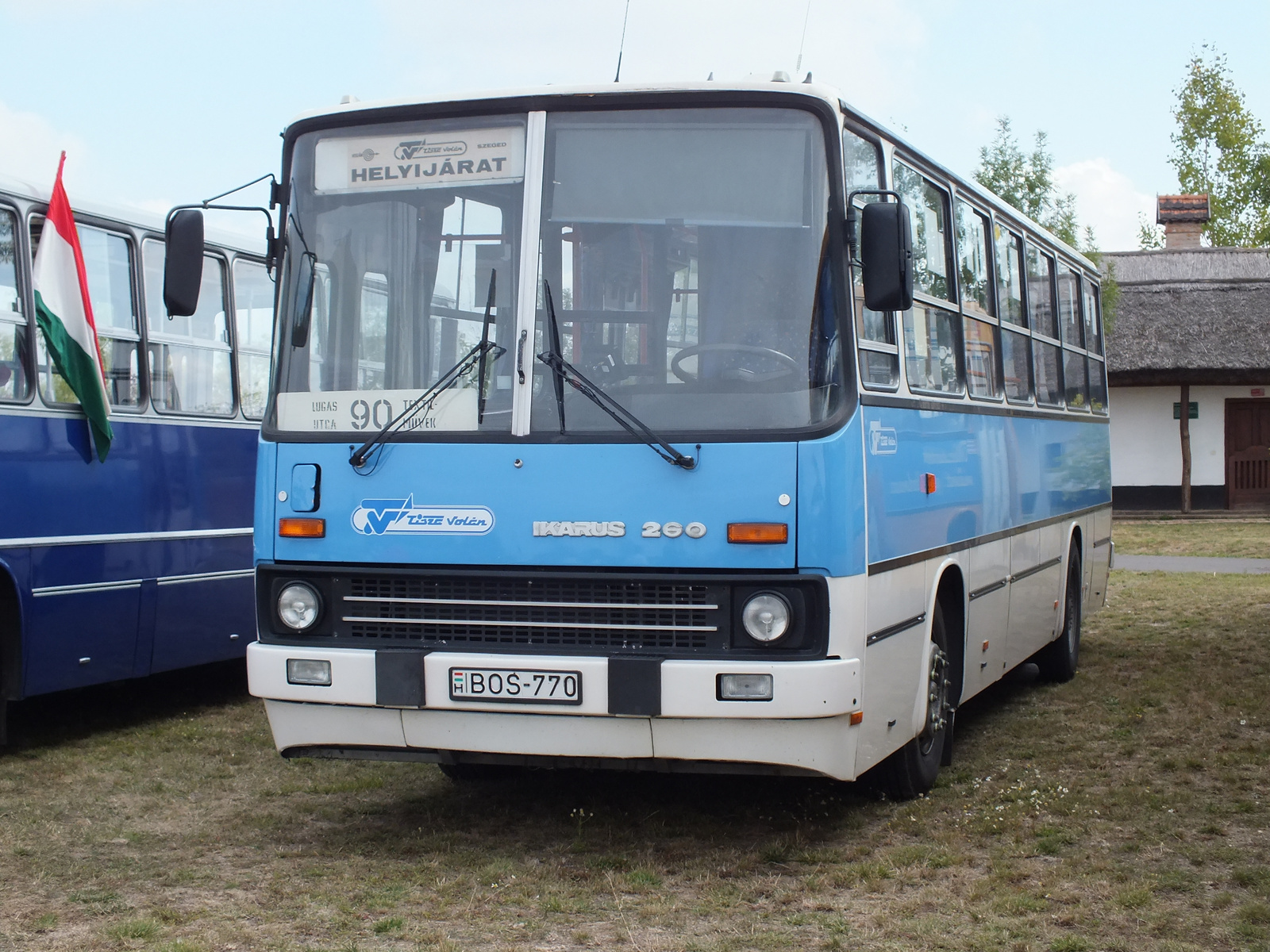 Ikarus 260