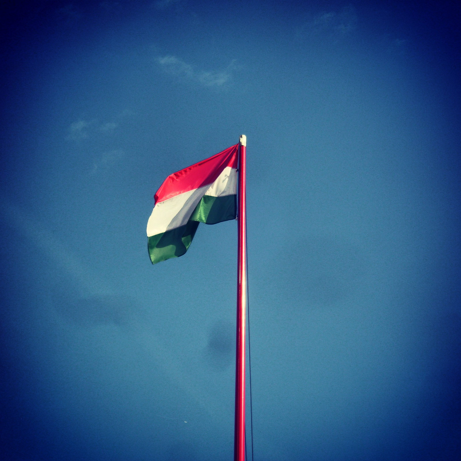 Hungarian Flag