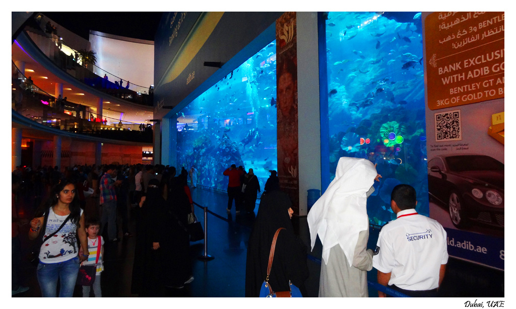 Dubai Mall, Aquarium