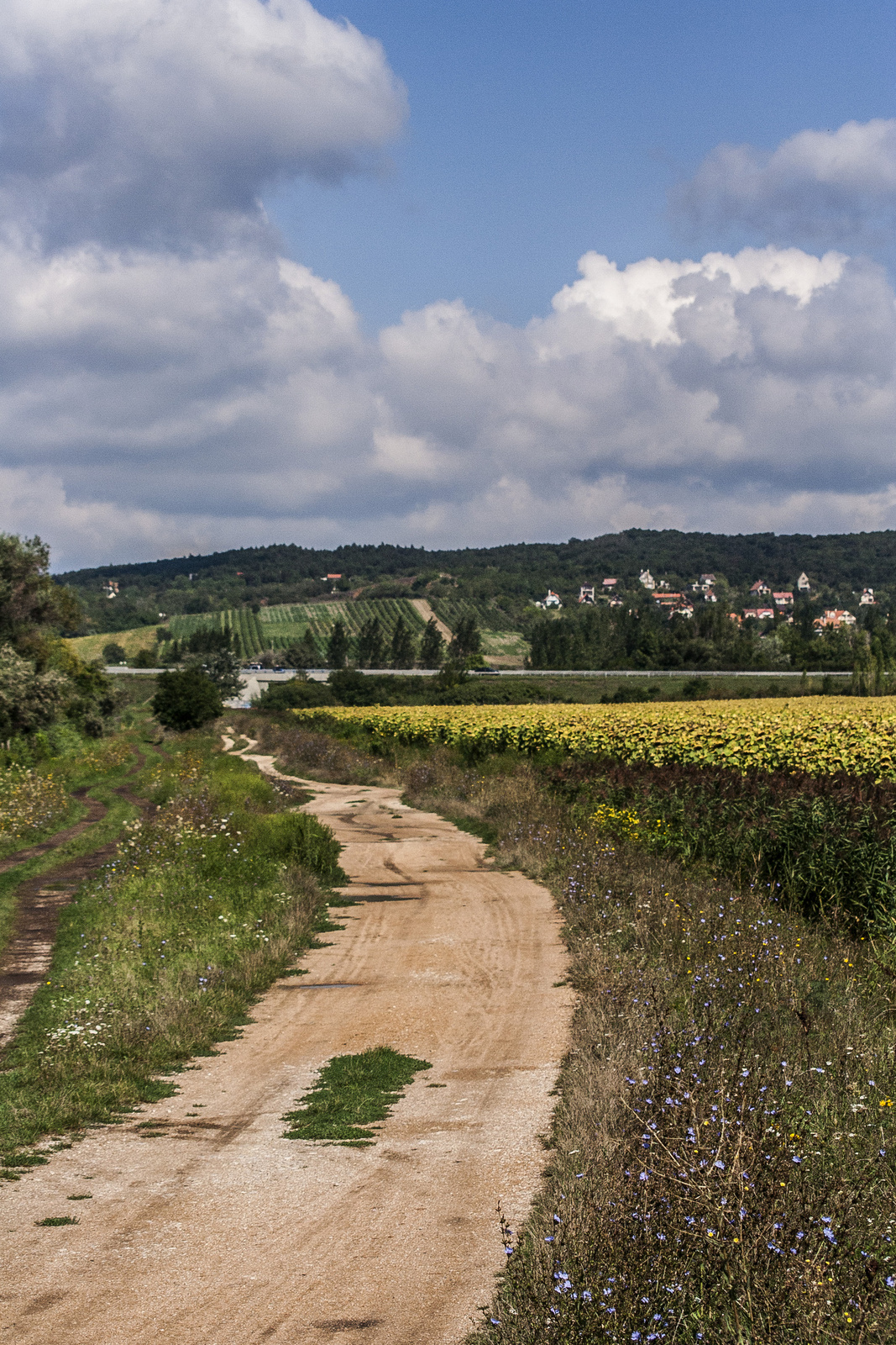 2014-08-24 Velencei tó 160