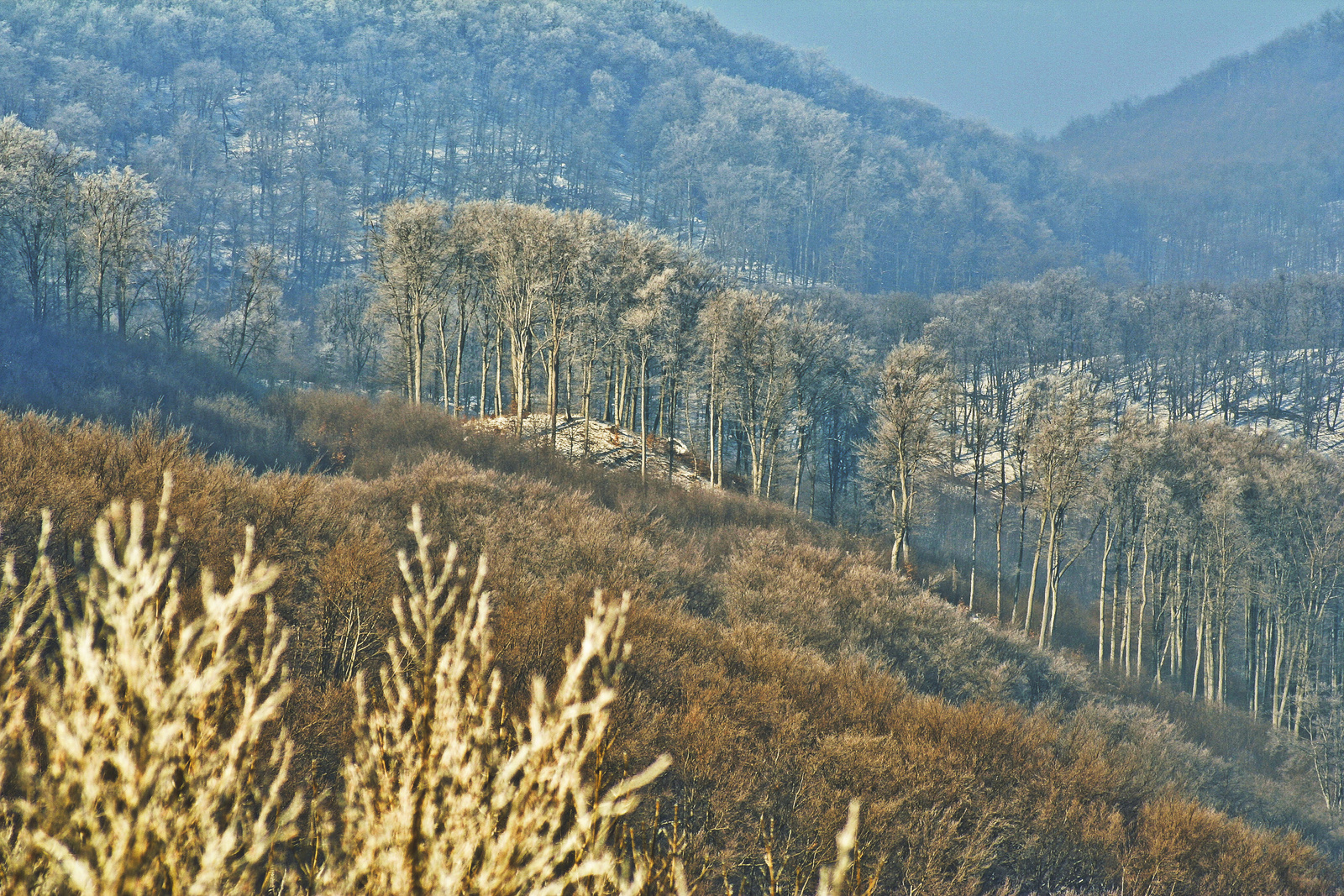 Dobogókő