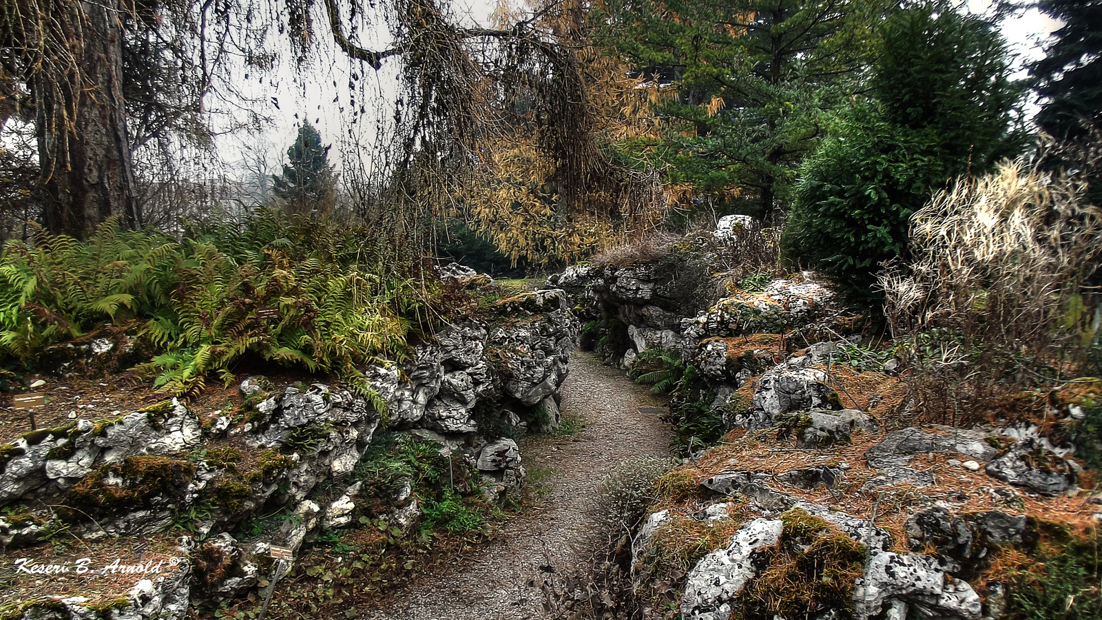 Jardin Botaniques 1