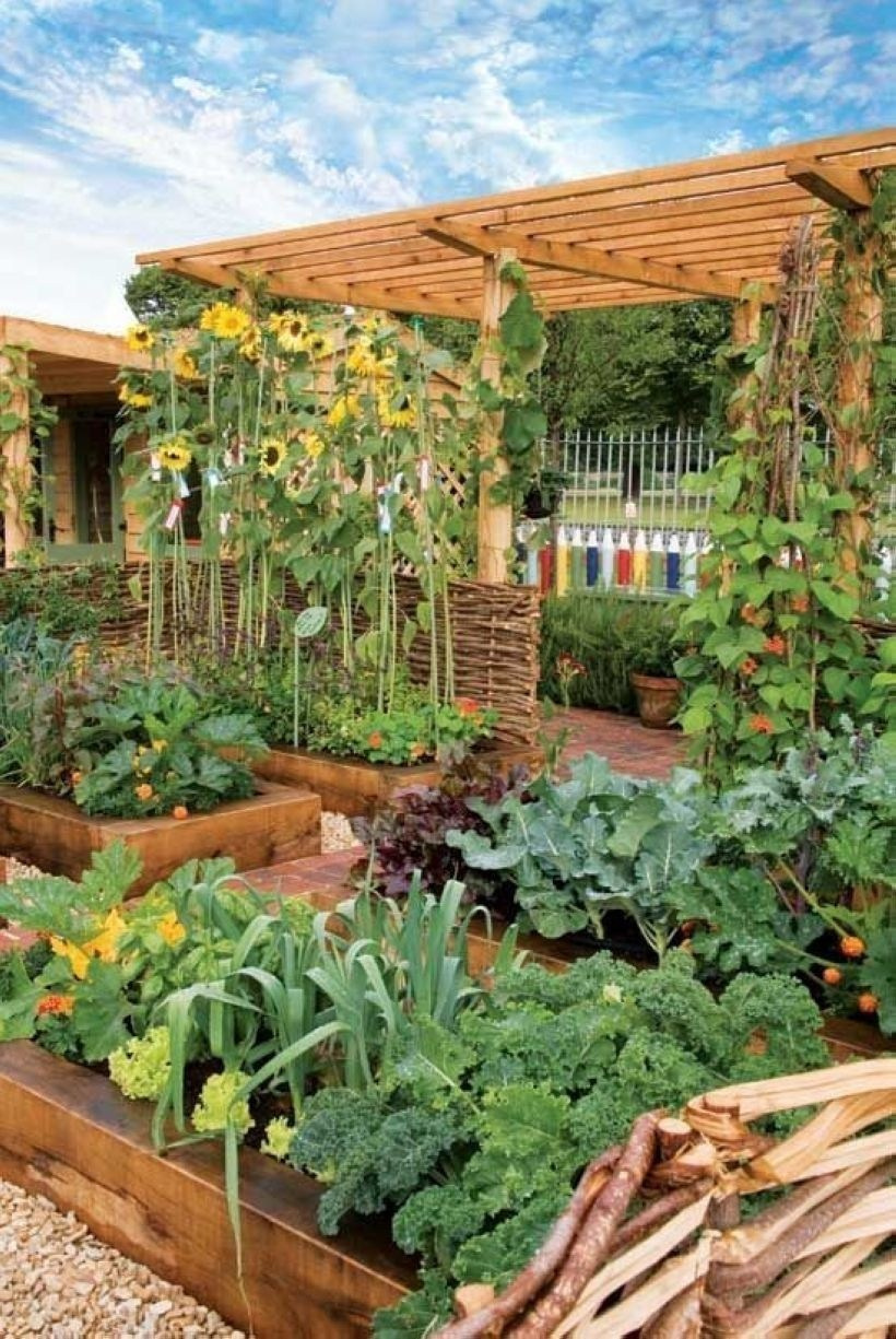 Backyard-Organic-Gardening-this-Summer-07