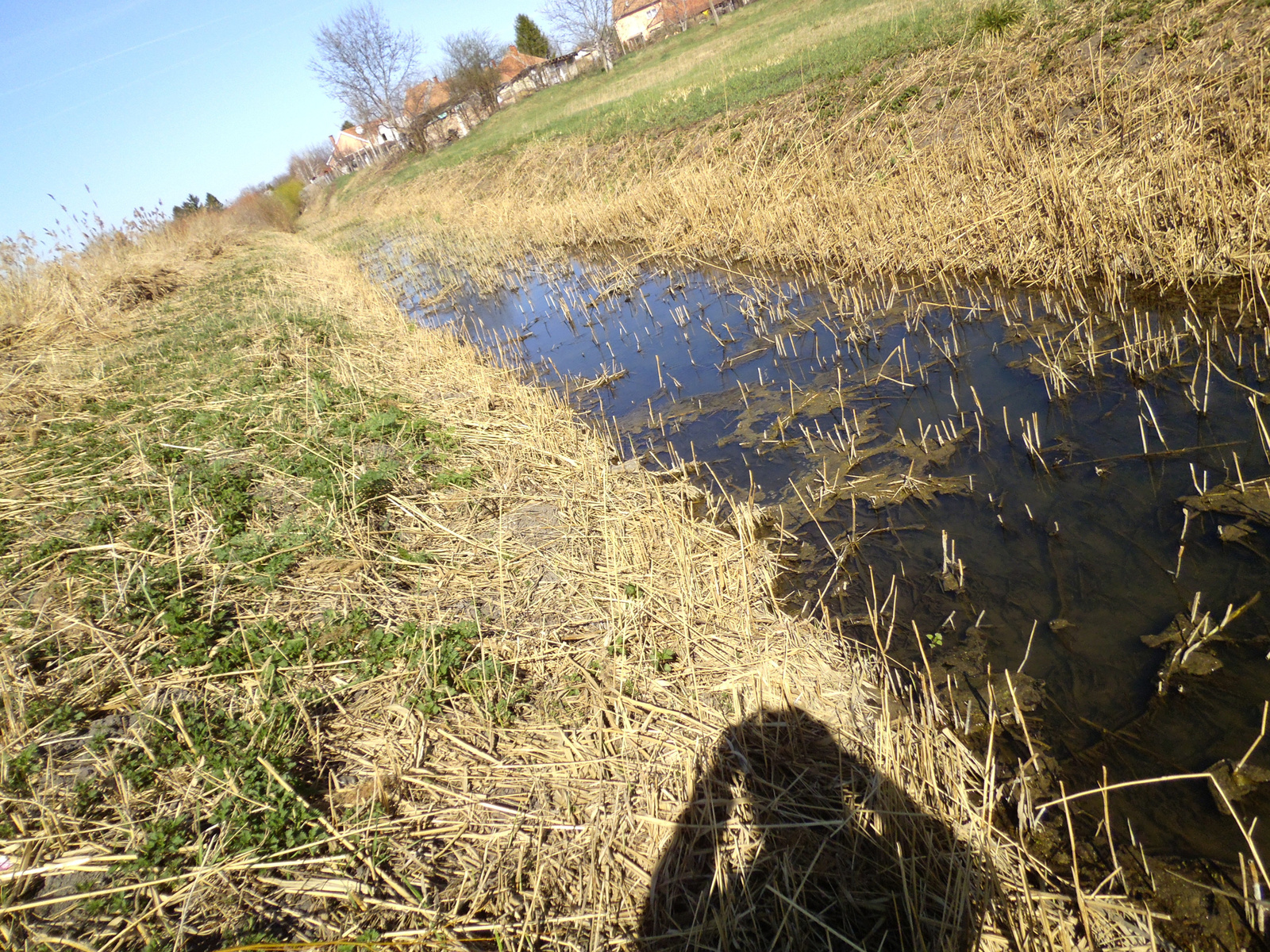 09 12.03.24. Bácsalmás a vizek városa Kígyós 035