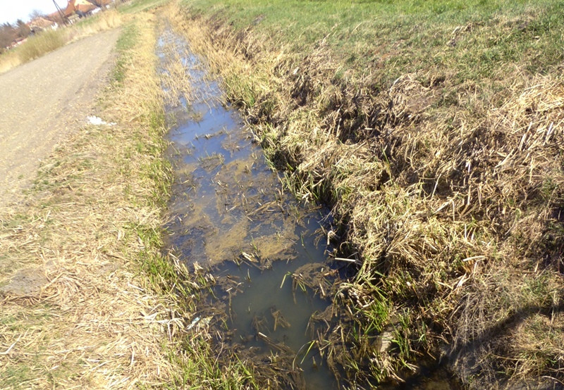 09 12.03.24. Bácsalmás a vizek városa Kígyós 039