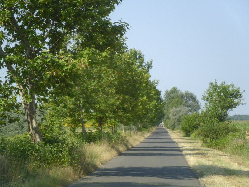 12.07.05. Konyhakert, betakarítás, gólya 126